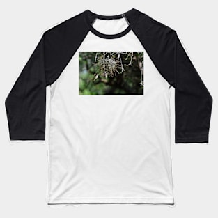 Spring is in the Air - Northern Beardless Tyrannulets Baseball T-Shirt